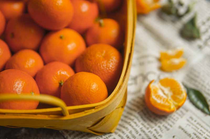تصویر باکیفیت نارنگی های تازه
