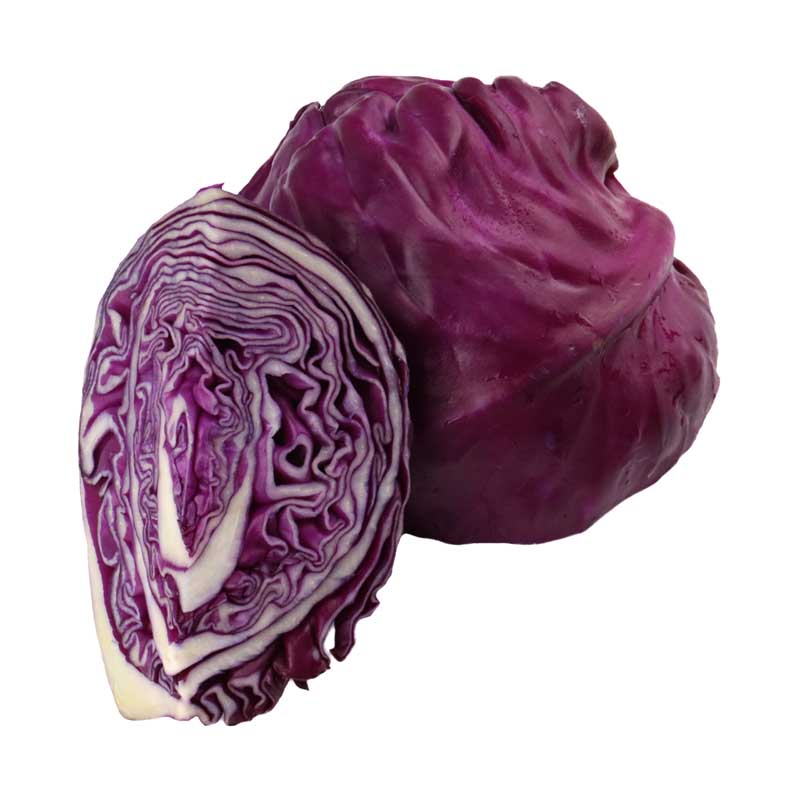 دانلود طرح کلم قرمز