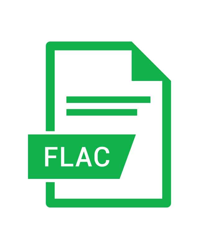 طرح آیکون فرمت FLAC