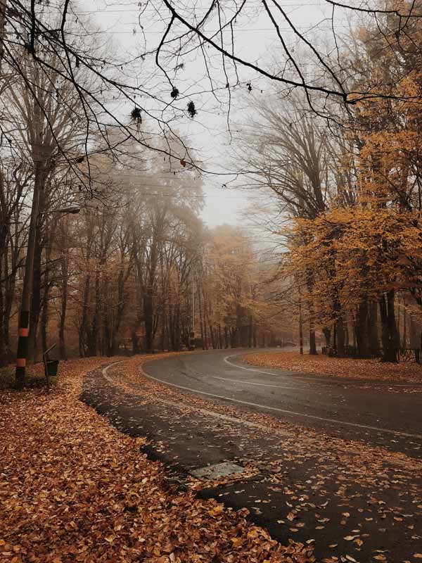 تصویر طبیعت پاییزی گرگان