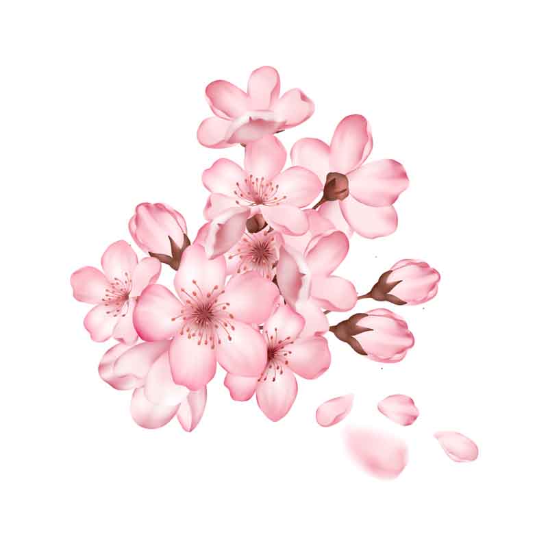 طرح کلیپ آرت شکوفه صورتی