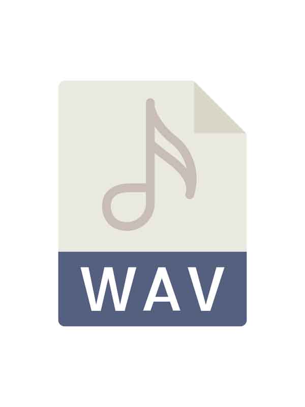 دانلود طرح آیکون فرمت WAV