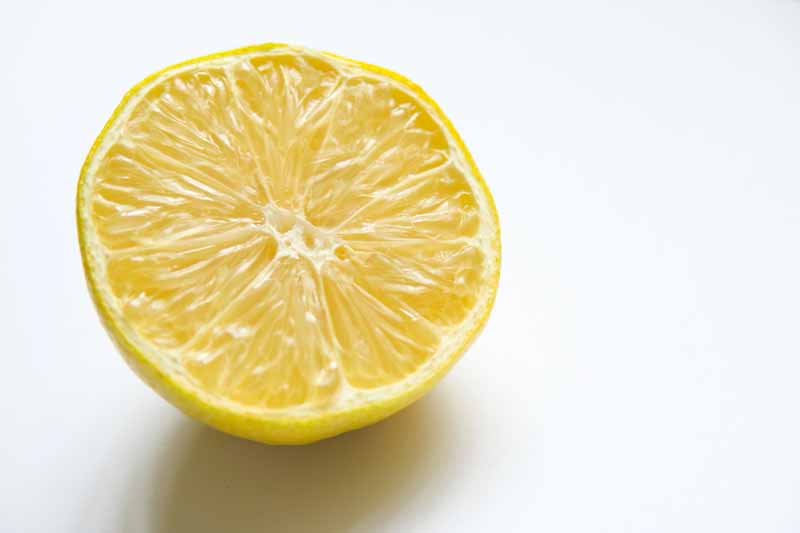 دانلود تصویر لیمو شیرین برش خورده