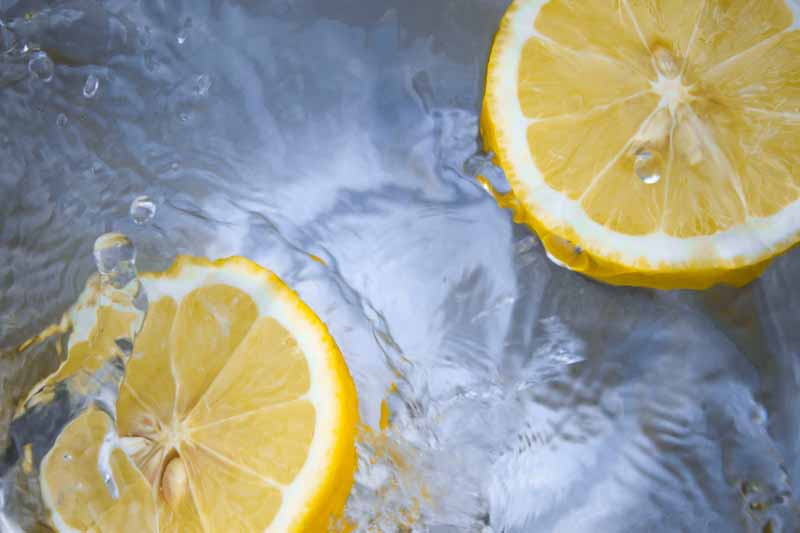 دانلود تصویر لیموشیرین حلقه شده داخل آب