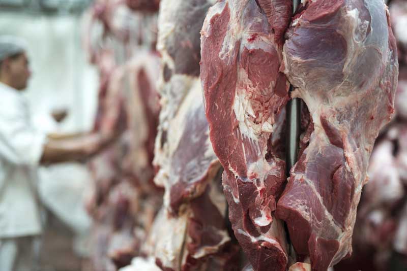 دانلود عکس گوشت قرمز