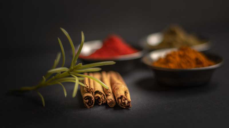 دانلود عکس گرافیکی دارچین و پودر ادویه جات