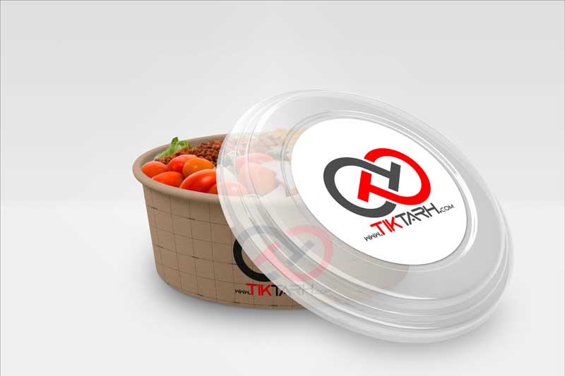 موکاپ ظرف غذای یکبار مصرف