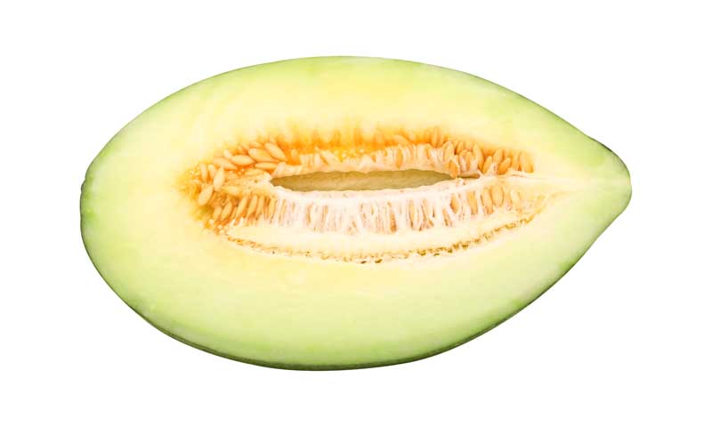 دانلود طرح خربزه