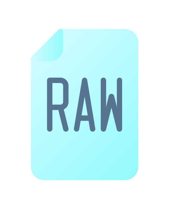 طرح با کیفیت آیکون فایل RAW