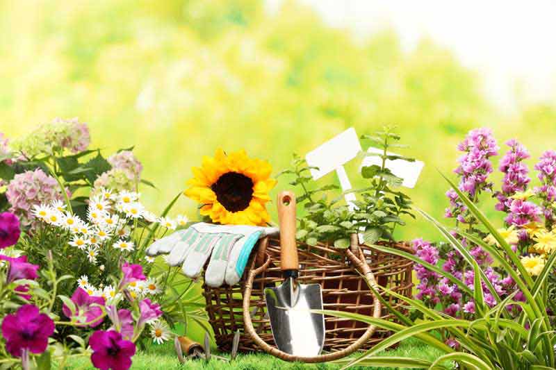 دانلود عکس ابزار باغبانی و گل