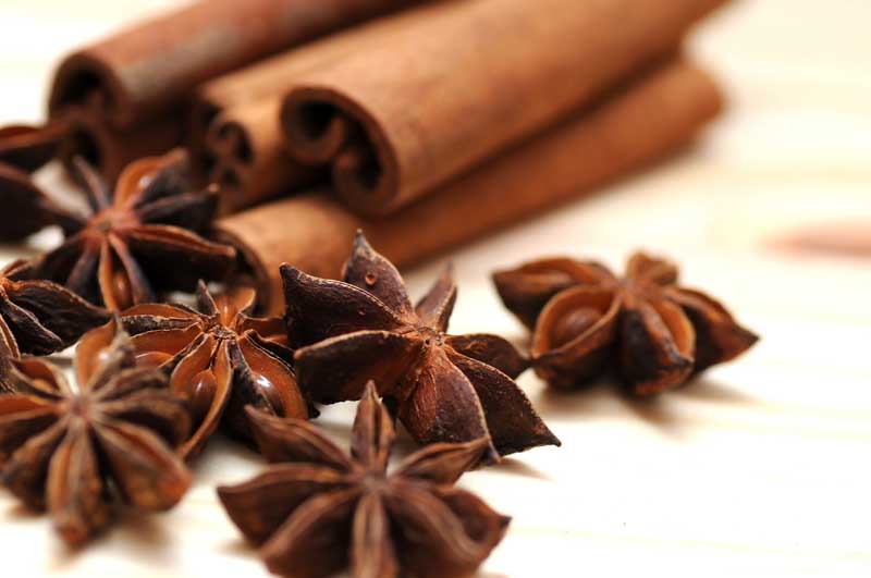دانلود تصویر لارج فرمت چوب دارچین