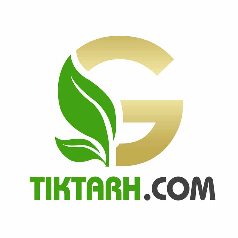 دانلود لوگو لایه باز برگ و G