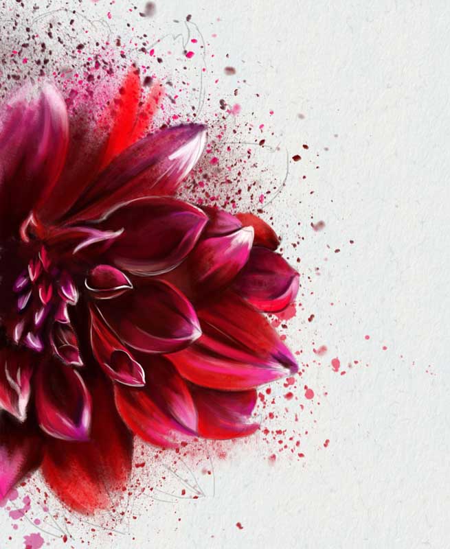 دانلود تصویر نقاشی گل رز سرخ