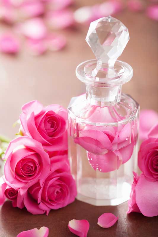 عکس لارج فرمت گلاب