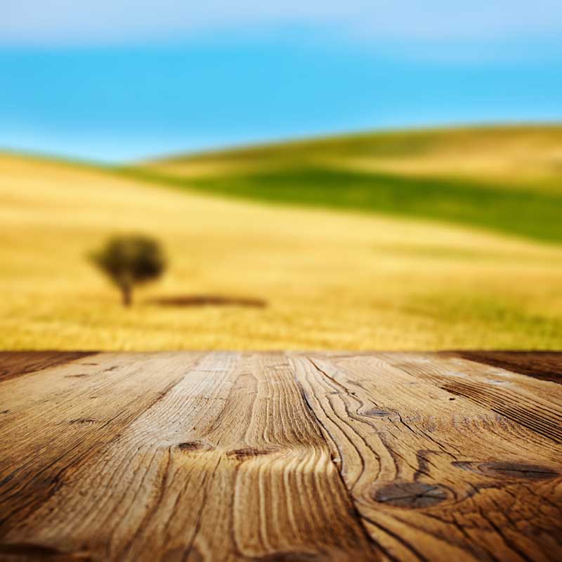 تصویر با کیفیت پس زمینه زمین دیم