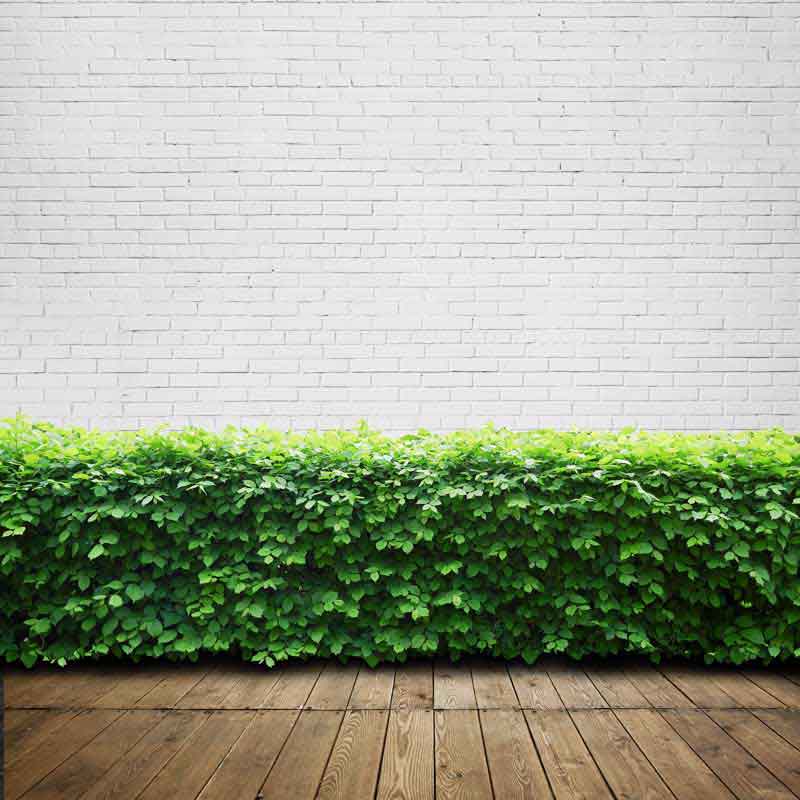 تصویر با کیفیت پس زمینه زمین چوبی و دیوار آجری