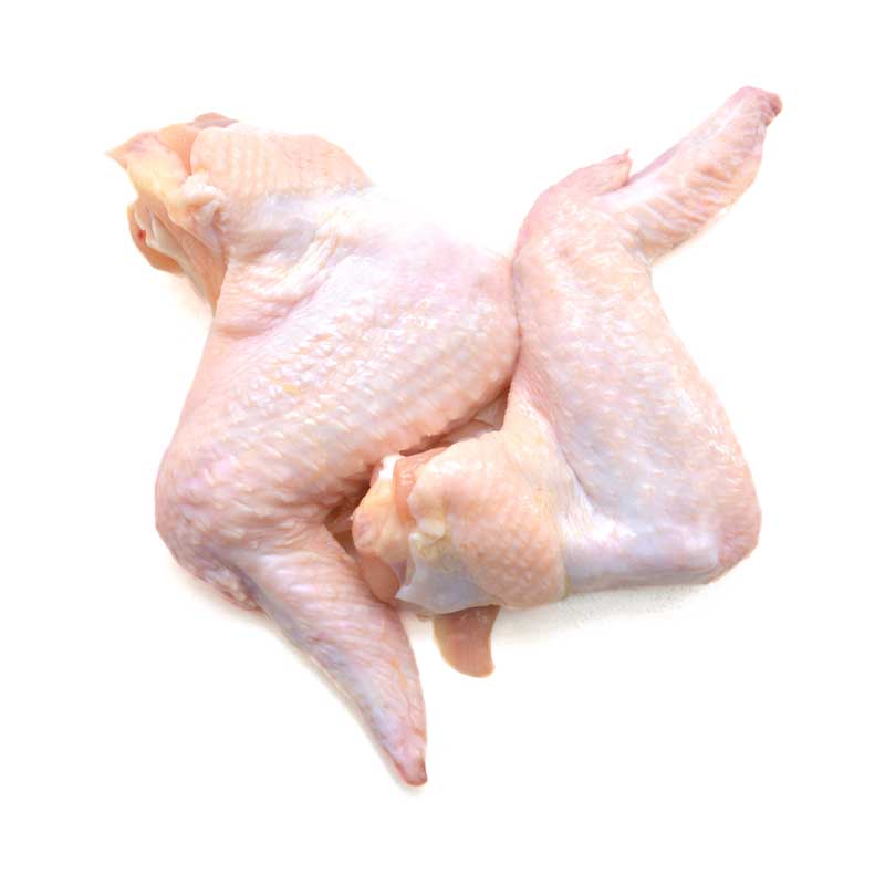 دانلود طرح بال مرغ