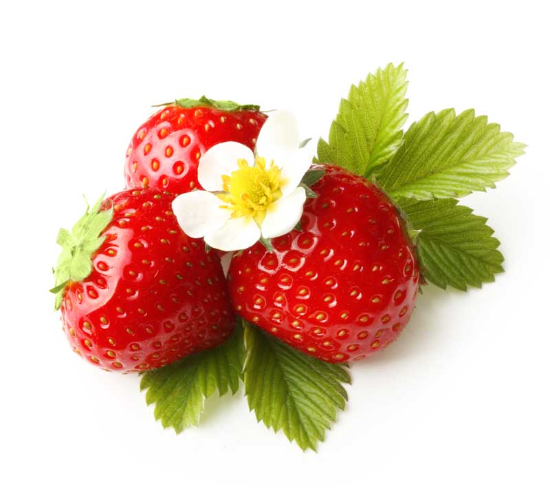 عکس زیبای شکوفه و توت فرنگی