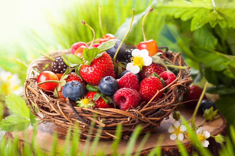 عکس زیبای توت فرنگی و تمشک در سبد