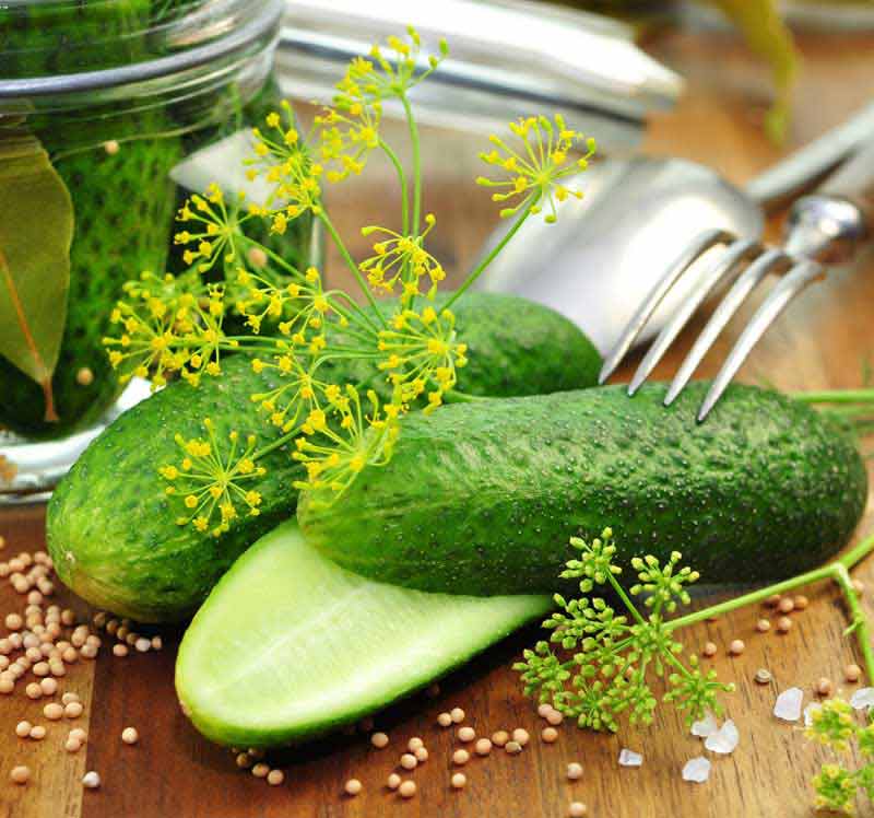 عکس زیبای خیار و دانه های نخود