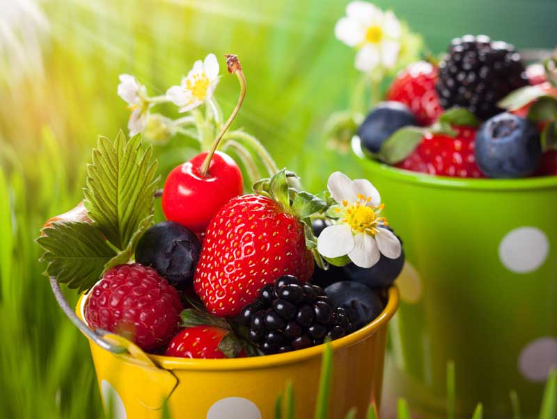 عکس لارج فرمت از تمشک و آلبالو