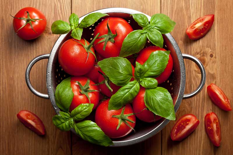 دانلود عکس گوجه فرنگی و ریحان