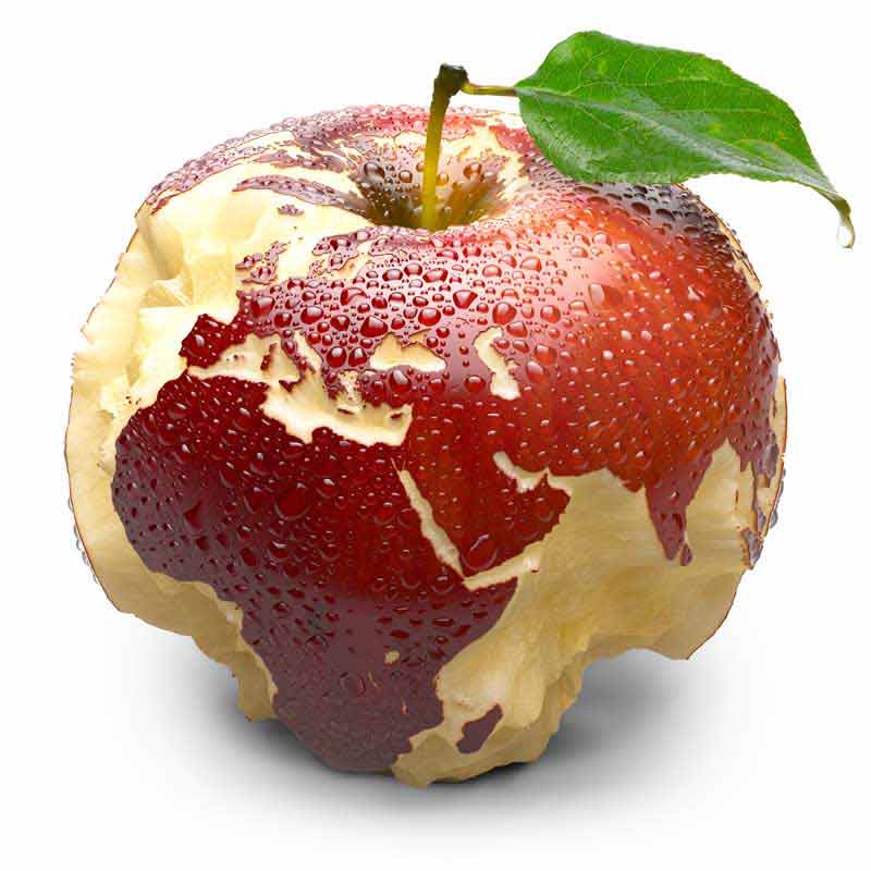 تصویر زیبا از سیب کرم خورده با برگ