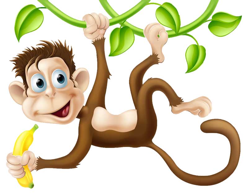 دانلود طرح میمون آویزان به شاخه