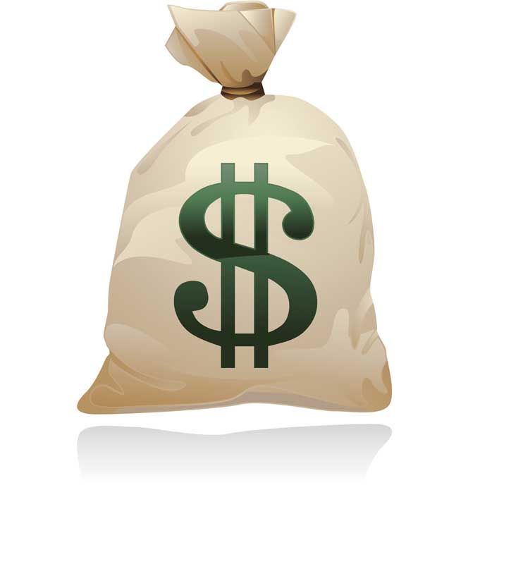 دانلود طرح کیسه پول