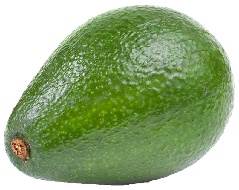 دانلود طرح میوه گرمسیری آووکادو