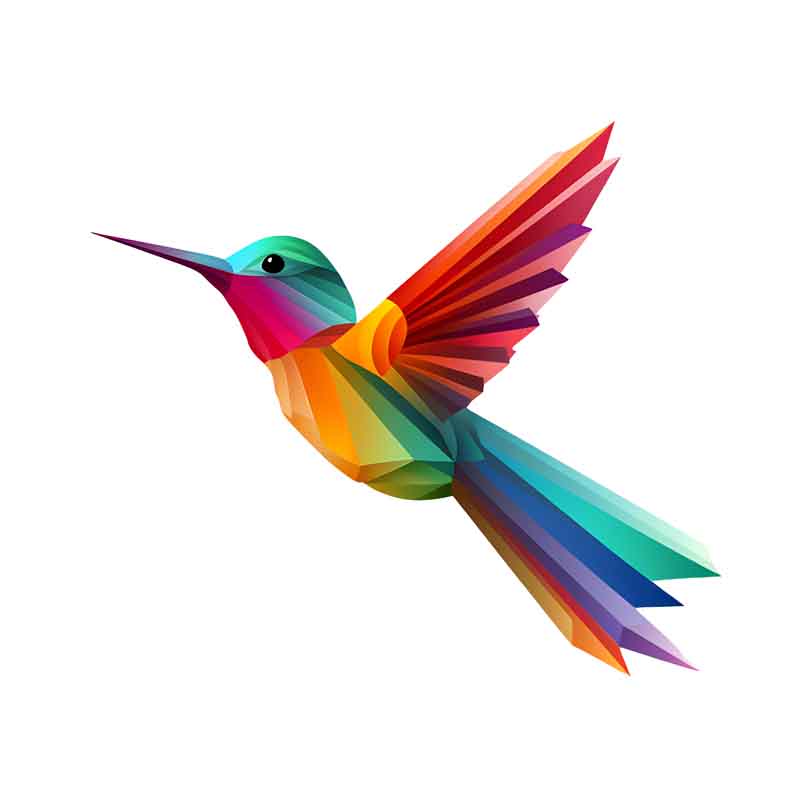 دانلود طرح پرنده زیبای رنگی