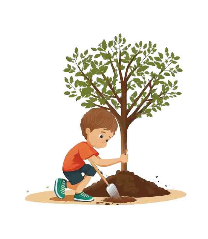 دانلود طرح پسر و کاشت درخت