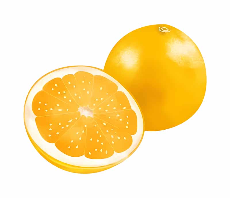 دانلود طرح لیمو شیرین