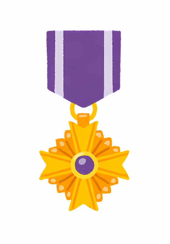 طرح نشان شجاعت