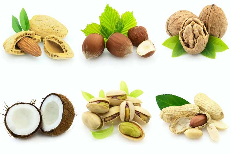 عکس لارج فرمت از آجیل و نارگیل