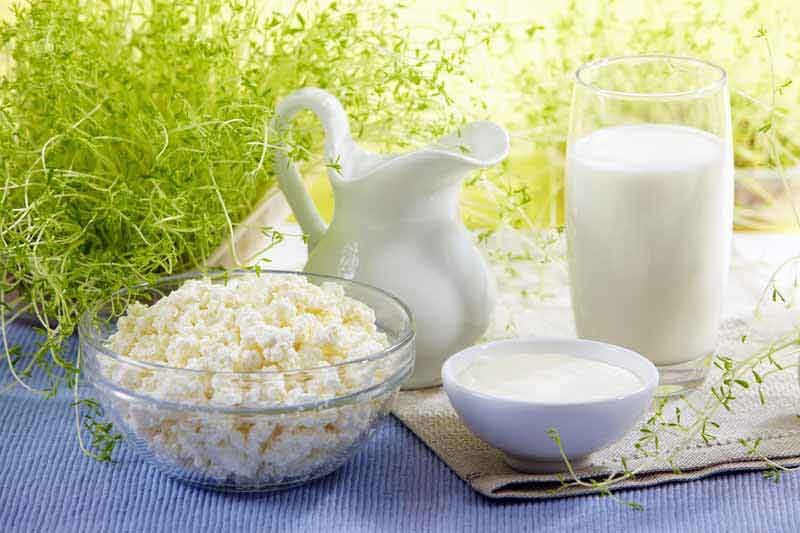 دانلود عکس لبنیات