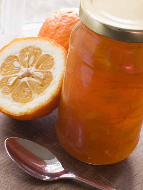 عکس زیبا از مربای بالنگ