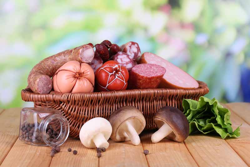 عکس زیبا از سوسی و کالباس و قارچ