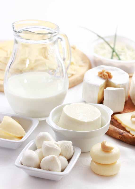 عکس با کیفیت از پنیر های اروپایی