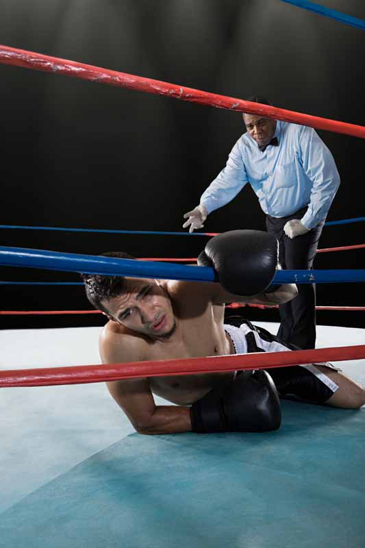 عکس زیبا از بوکسور افتاده در زمین