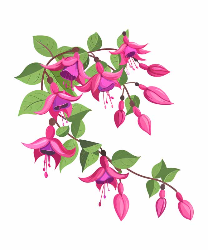 دانلود طرح گل کاغذی