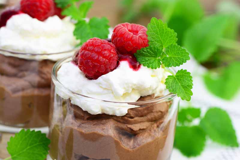 عکس گرافیکی از بستنی لیوانی با تمشک