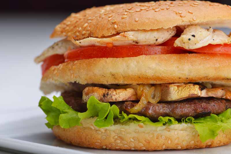 تصویر لارج فرمت از ساندویچ چند لایه