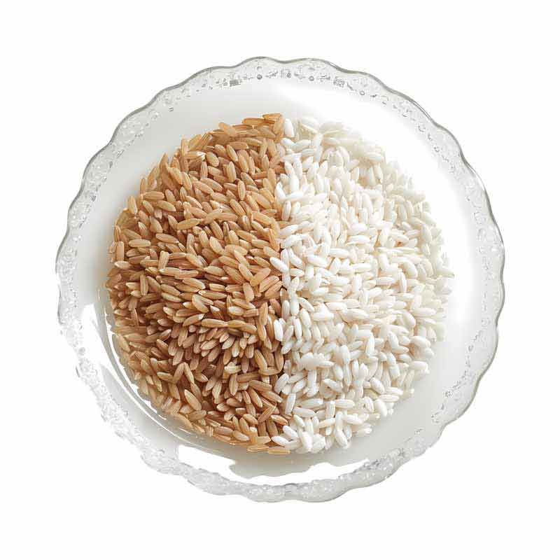 دانلود طرح دو رنگ برنج