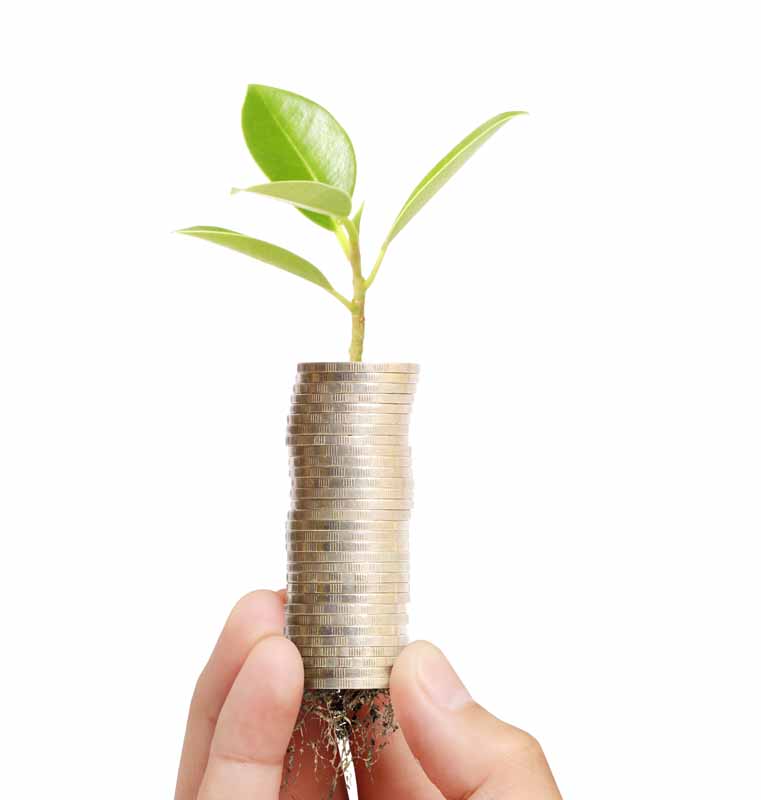 عکس با کیفیت از ریشه در سکه ها