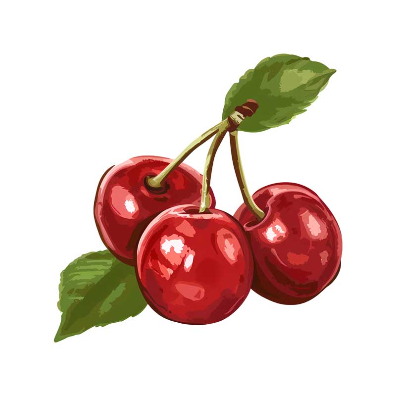 دانلود طرح سه عدد گیلاس