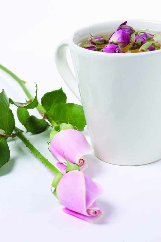 عکس با کیفیت دمنوش غنچه رز