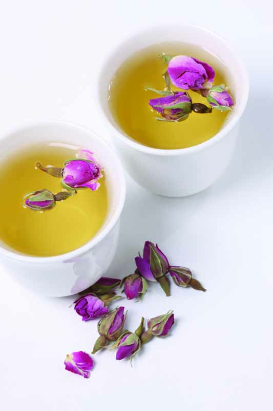 عکس لارج فرمت از دمنوش غنچه ها