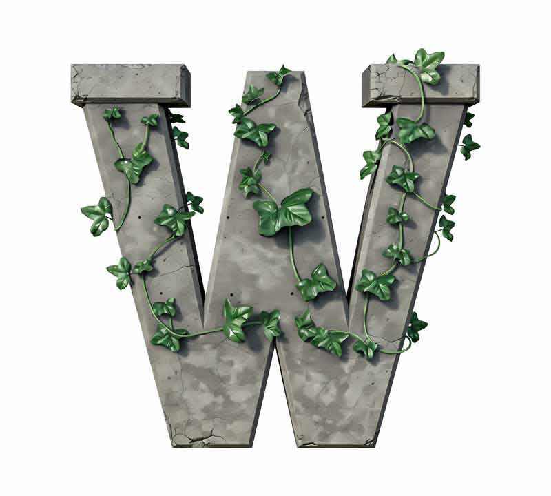 دانلود طرح حرف W