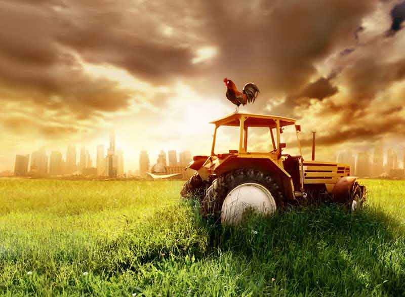 عکس با کیفیت از تراکتور در مزرعه